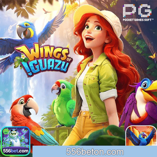 Imagem promocional do cadastro da 556BET